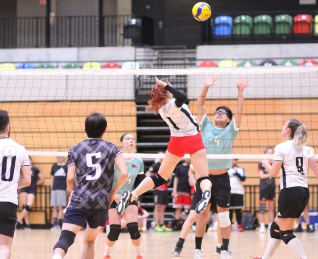 Recreational volleyball game